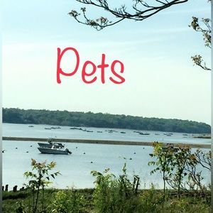 Fur baby clothes & stuff!